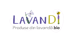 Lavandi